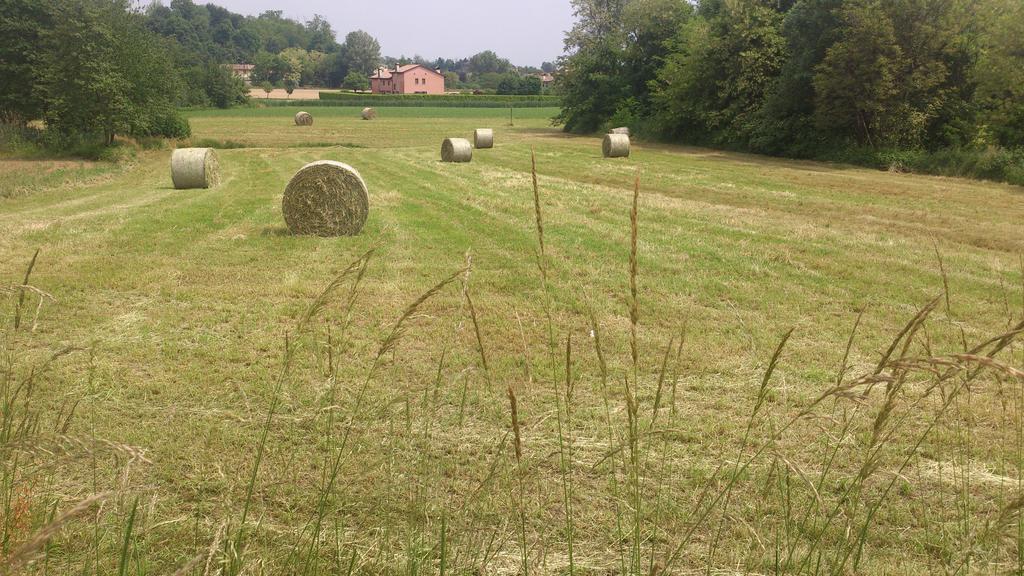 B&B Zia Maria Asolo Kültér fotó